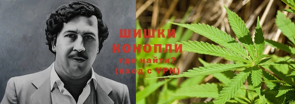 амф Ладушкин