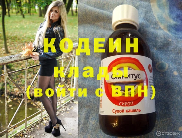 амф Ладушкин