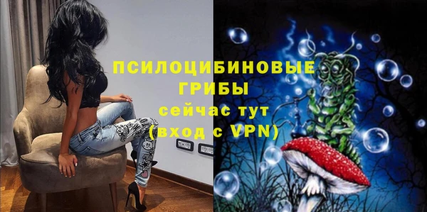 гашик Лабытнанги