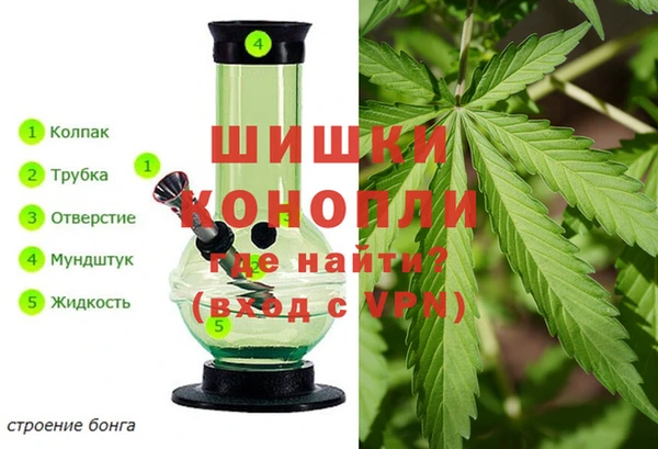 гашик Лабытнанги