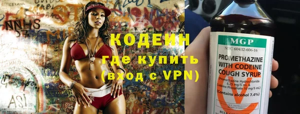гашик Лабытнанги