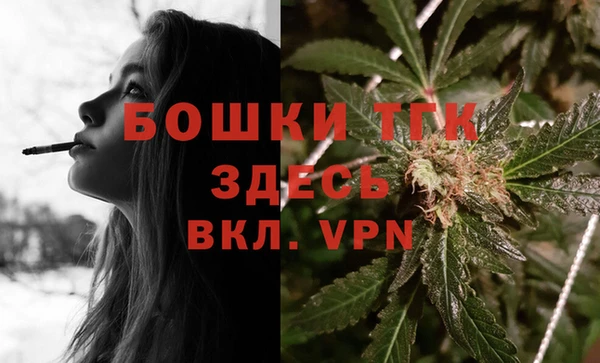 амф Ладушкин