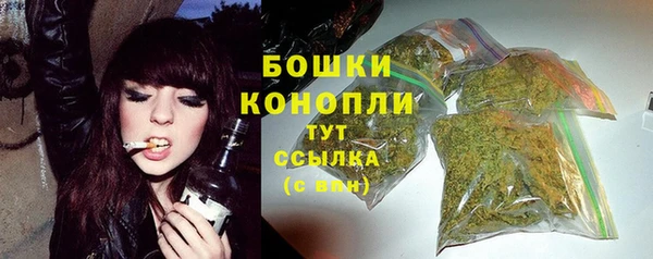 гашик Лабытнанги