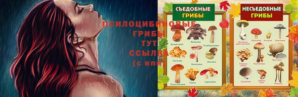 гашик Лабытнанги