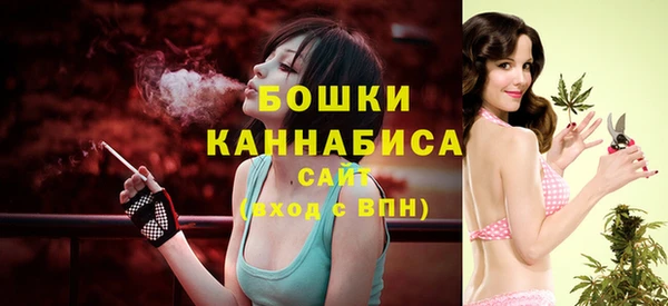 амф Ладушкин