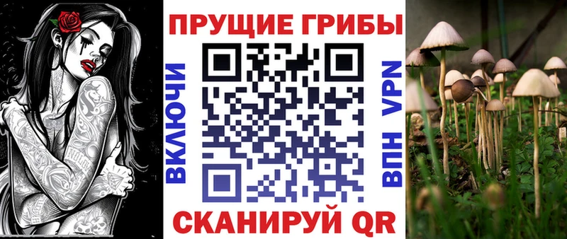 дарк нет наркотические препараты  Назрань  Псилоцибиновые грибы ЛСД 